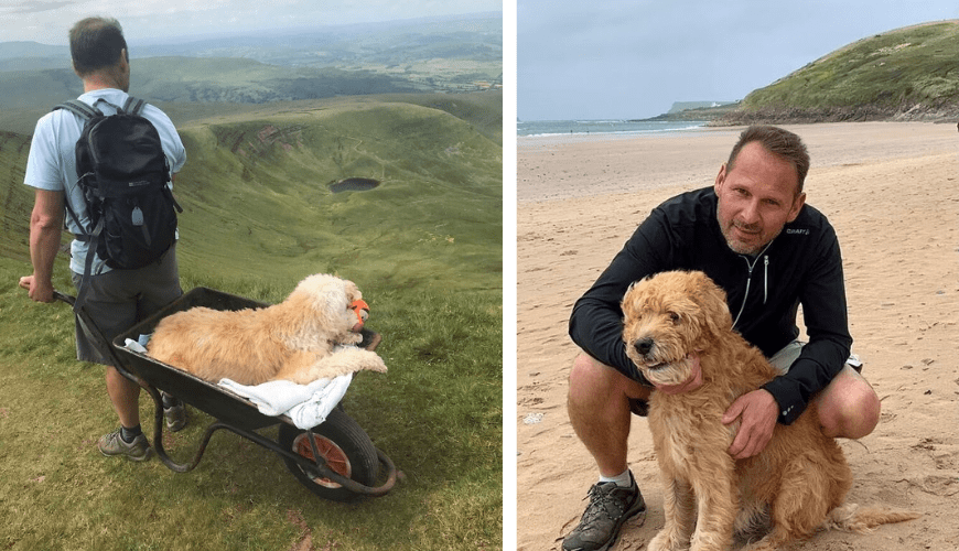 The heartwarming story of a man taking his beloved dog on a final adventure together.